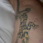 Фото рисунка татуировка саламандра 30.10.2018 №082 - salamander tattoo - tattoo-photo.ru