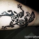Фото рисунка татуировка саламандра 30.10.2018 №085 - salamander tattoo - tattoo-photo.ru