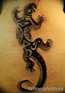 Фото рисунка татуировка саламандра 30.10.2018 №089 - salamander tattoo - tattoo-photo.ru