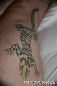 Фото рисунка татуировка саламандра 30.10.2018 №090 - salamander tattoo - tattoo-photo.ru