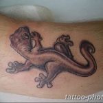 Фото рисунка татуировка саламандра 30.10.2018 №091 - salamander tattoo - tattoo-photo.ru