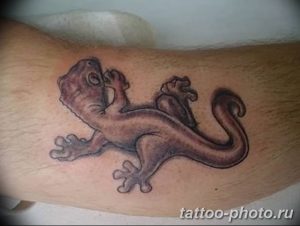 Фото рисунка татуировка саламандра 30.10.2018 №091 - salamander tattoo - tattoo-photo.ru