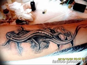 Фото рисунка татуировка саламандра 30.10.2018 №092 - salamander tattoo - tattoo-photo.ru