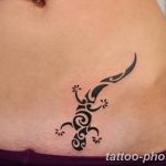 Фото рисунка татуировка саламандра 30.10.2018 №094 - salamander tattoo - tattoo-photo.ru