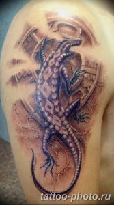 Фото рисунка татуировка саламандра 30.10.2018 №095 - salamander tattoo - tattoo-photo.ru