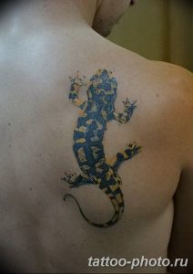 Фото рисунка татуировка саламандра 30.10.2018 №096 - salamander tattoo - tattoo-photo.ru