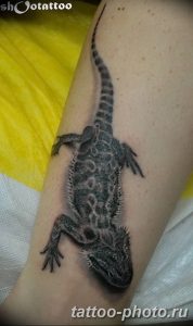 Фото рисунка татуировка саламандра 30.10.2018 №097 - salamander tattoo - tattoo-photo.ru