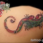 Фото рисунка татуировка саламандра 30.10.2018 №100 - salamander tattoo - tattoo-photo.ru