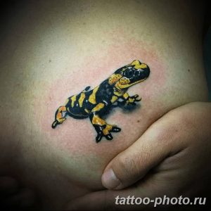Фото рисунка татуировка саламандра 30.10.2018 №106 - salamander tattoo - tattoo-photo.ru