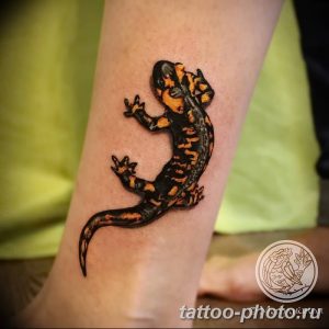 Фото рисунка татуировка саламандра 30.10.2018 №107 - salamander tattoo - tattoo-photo.ru