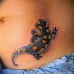 Фото рисунка татуировка саламандра 30.10.2018 №108 - salamander tattoo - tattoo-photo.ru