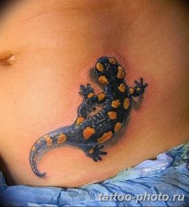 Фото рисунка татуировка саламандра 30.10.2018 №108 - salamander tattoo - tattoo-photo.ru