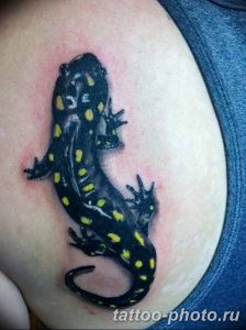 Фото рисунка татуировка саламандра 30.10.2018 №109 - salamander tattoo - tattoo-photo.ru