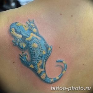 Фото рисунка татуировка саламандра 30.10.2018 №110 - salamander tattoo - tattoo-photo.ru