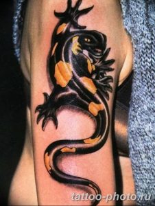 Фото рисунка татуировка саламандра 30.10.2018 №111 - salamander tattoo - tattoo-photo.ru
