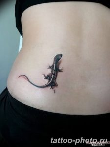 Фото рисунка татуировка саламандра 30.10.2018 №112 - salamander tattoo - tattoo-photo.ru