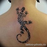 Фото рисунка татуировка саламандра 30.10.2018 №115 - salamander tattoo - tattoo-photo.ru