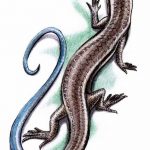 Фото рисунка татуировка саламандра 30.10.2018 №116 - salamander tattoo - tattoo-photo.ru
