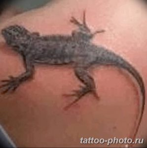Фото рисунка татуировка саламандра 30.10.2018 №118 - salamander tattoo - tattoo-photo.ru