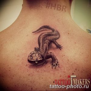 Фото рисунка татуировка саламандра 30.10.2018 №120 - salamander tattoo - tattoo-photo.ru