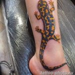 Фото рисунка татуировка саламандра 30.10.2018 №122 - salamander tattoo - tattoo-photo.ru