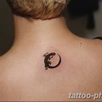 Фото рисунка татуировка саламандра 30.10.2018 №123 - salamander tattoo - tattoo-photo.ru