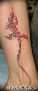 Фото рисунка татуировка саламандра 30.10.2018 №124 - salamander tattoo - tattoo-photo.ru