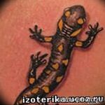 Фото рисунка татуировка саламандра 30.10.2018 №125 - salamander tattoo - tattoo-photo.ru