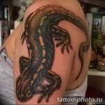 Фото рисунка татуировка саламандра 30.10.2018 №126 - salamander tattoo - tattoo-photo.ru