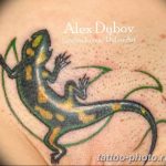 Фото рисунка татуировка саламандра 30.10.2018 №127 - salamander tattoo - tattoo-photo.ru