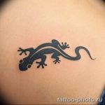 Фото рисунка татуировка саламандра 30.10.2018 №128 - salamander tattoo - tattoo-photo.ru