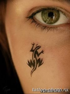 Фото рисунка татуировка саламандра 30.10.2018 №132 - salamander tattoo - tattoo-photo.ru