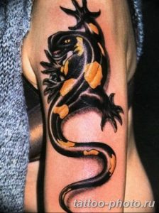 Фото рисунка татуировка саламандра 30.10.2018 №134 - salamander tattoo - tattoo-photo.ru
