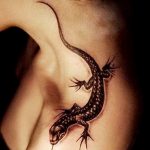 Фото рисунка татуировка саламандра 30.10.2018 №136 - salamander tattoo - tattoo-photo.ru
