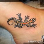 Фото рисунка татуировка саламандра 30.10.2018 №137 - salamander tattoo - tattoo-photo.ru