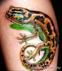 Фото рисунка татуировка саламандра 30.10.2018 №139 - salamander tattoo - tattoo-photo.ru