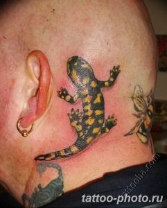 Фото рисунка татуировка саламандра 30.10.2018 №140 - salamander tattoo - tattoo-photo.ru