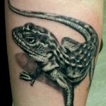 Фото рисунка татуировка саламандра 30.10.2018 №143 - salamander tattoo - tattoo-photo.ru