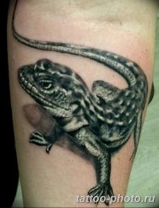 Фото рисунка татуировка саламандра 30.10.2018 №143 - salamander tattoo - tattoo-photo.ru