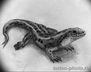 Фото рисунка татуировка саламандра 30.10.2018 №144 - salamander tattoo - tattoo-photo.ru