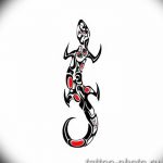 Фото рисунка татуировка саламандра 30.10.2018 №146 - salamander tattoo - tattoo-photo.ru