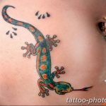 Фото рисунка татуировка саламандра 30.10.2018 №151 - salamander tattoo - tattoo-photo.ru