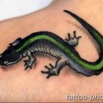 Фото рисунка татуировка саламандра 30.10.2018 №152 - salamander tattoo - tattoo-photo.ru