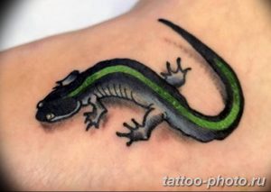 Фото рисунка татуировка саламандра 30.10.2018 №152 - salamander tattoo - tattoo-photo.ru
