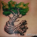 Фото тату Бонсай 26.10.2018 №003 - tattoo bonsai - tattoo-photo.ru