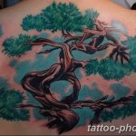 Фото тату Бонсай 26.10.2018 №005 - tattoo bonsai - tattoo-photo.ru