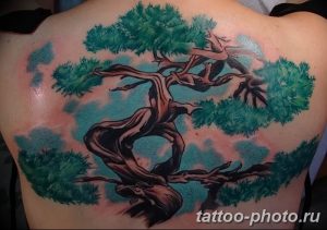 Фото тату Бонсай 26.10.2018 №005 - tattoo bonsai - tattoo-photo.ru