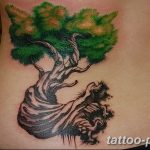 Фото тату Бонсай 26.10.2018 №008 - tattoo bonsai - tattoo-photo.ru