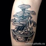 Фото тату Бонсай 26.10.2018 №010 - tattoo bonsai - tattoo-photo.ru