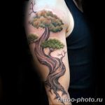 Фото тату Бонсай 26.10.2018 №016 - tattoo bonsai - tattoo-photo.ru